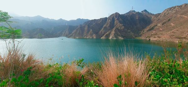 Scenic view of lake