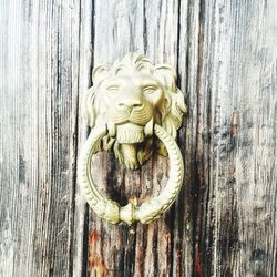 Close-up of door knocker