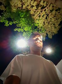 Sun shining through trees