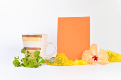 Close-up of orange rose against white background