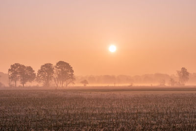 Scenic view of field against sky during sunset