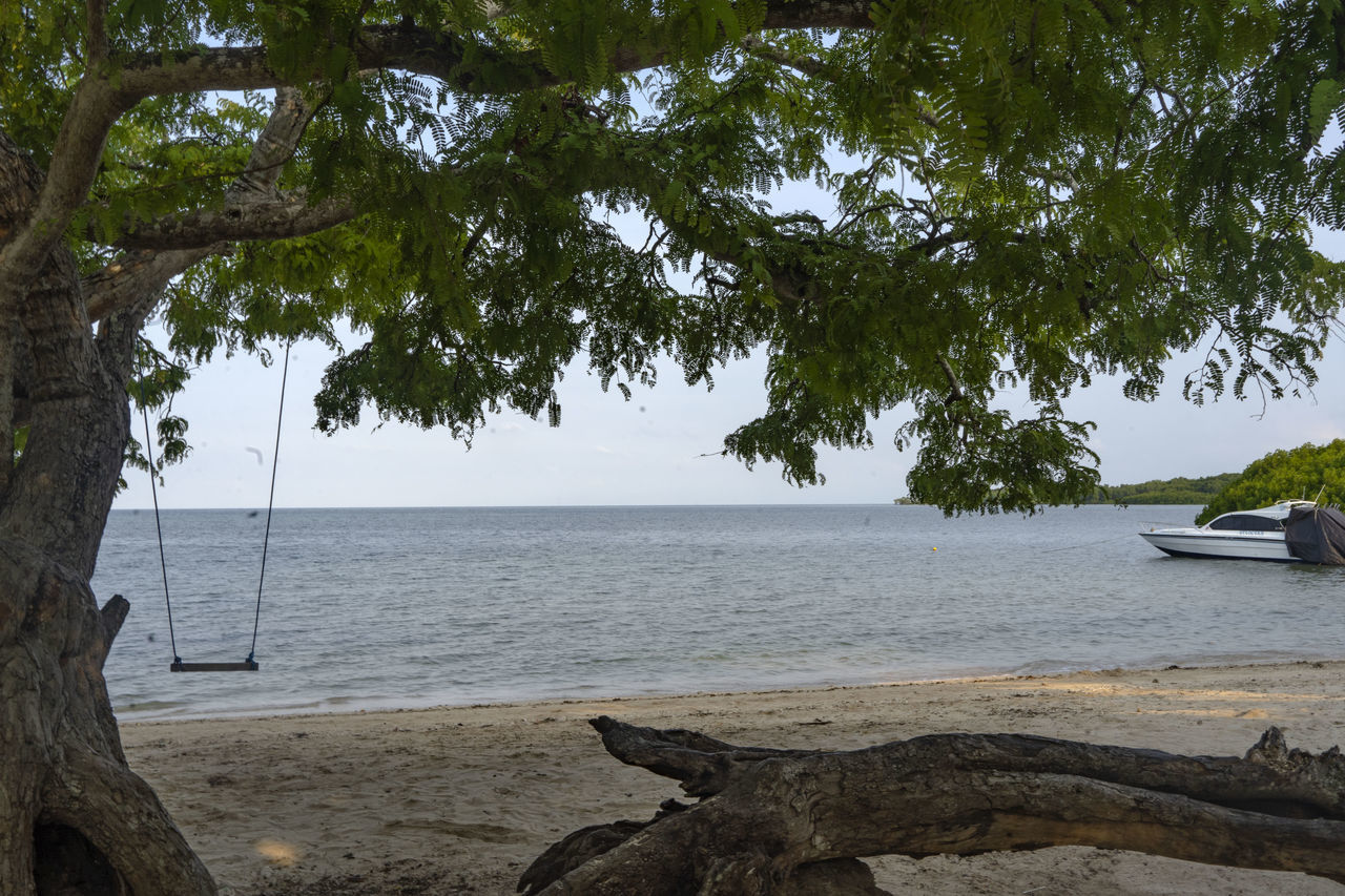 SCENIC VIEW OF SEA AGAINST TREES