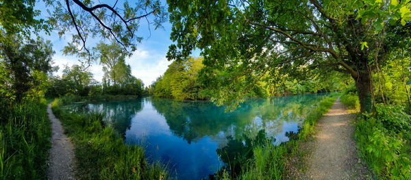 Scenic view of lake amidst trees against sky