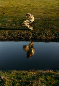 Golden silhouette by the lake in spring