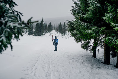 Rear view of people walking on snow covered plants during winter