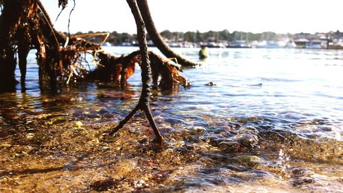 View of water in water