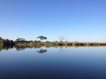 Scenic view of lake against clear blue sky