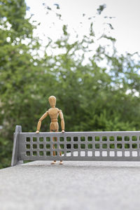 Rear view of boy on wood against trees