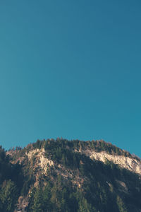 Scenic view of tree against clear blue sky