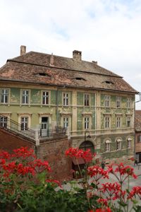 View of red flowering plants by building against sky