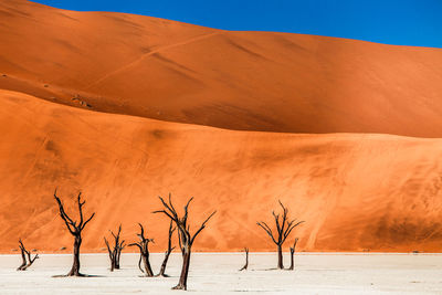 Scenic view of desert against clear sky