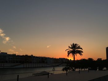 Silhouette palm trees against sky during sunset