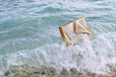 Open book washed ashore