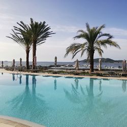 Palm trees by swimming pool against sky