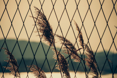 Close-up of metal against sky