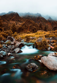 Scenic view of stream flowing through rocks