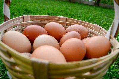 Eggs in basket on field