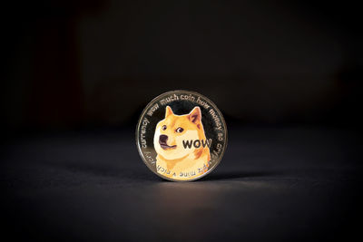 Close-up of cat on table