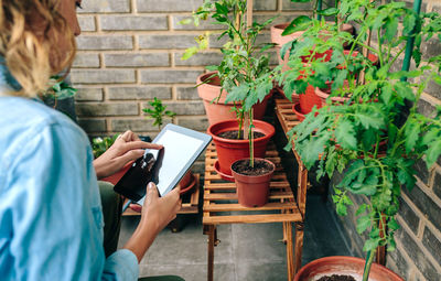 Woman touching digital tablet while caring plants of urban garden on terrace