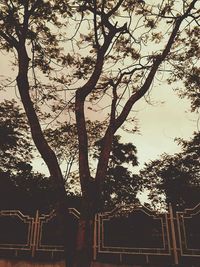 Silhouette trees against sky during sunset