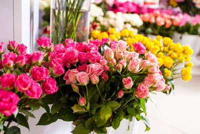 Close-up of pink flower pot