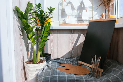 Potted plants on table at home