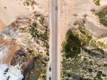 High angle view of trees in a desert