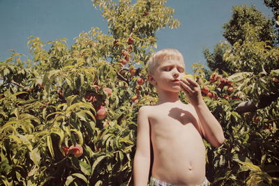 Low angle view of shirtless boy holding fruit while standing against peach tree