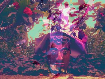 Close-up of autumn leaves on tree