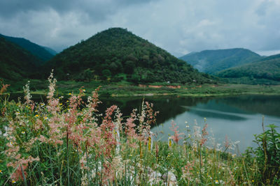 Scenic view of lake and mountains against sky