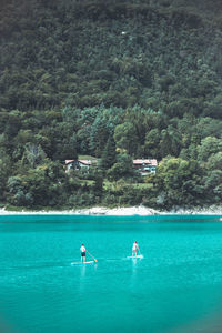 People in sea against trees