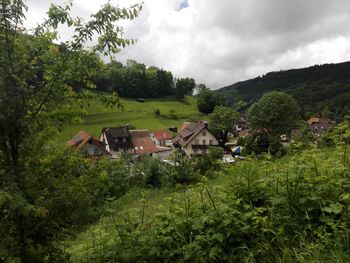 Houses in village