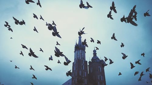 Low angle view of birds flying in sky