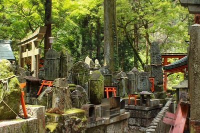 Panoramic view of cemetery