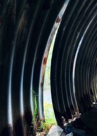Close-up of pipe in field
