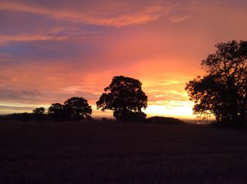 Silhouette trees on field against dramatic sky