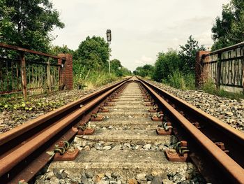 Railroad tracks amidst trees against sky