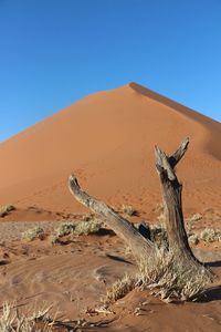 Driftwood on sand at desert against clear blue sky