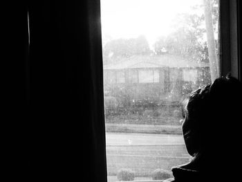 Rear view of woman looking through window