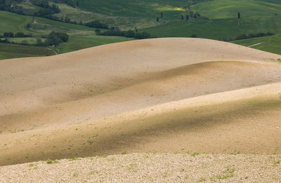 Typical countryside near pienza in val d'orcia, tuscany, italy