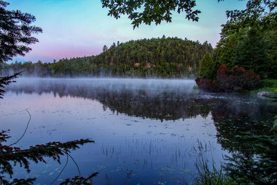 Scenic view of lake in forest against sky