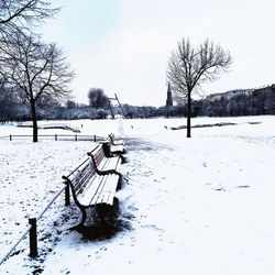 Bare trees on snow covered field