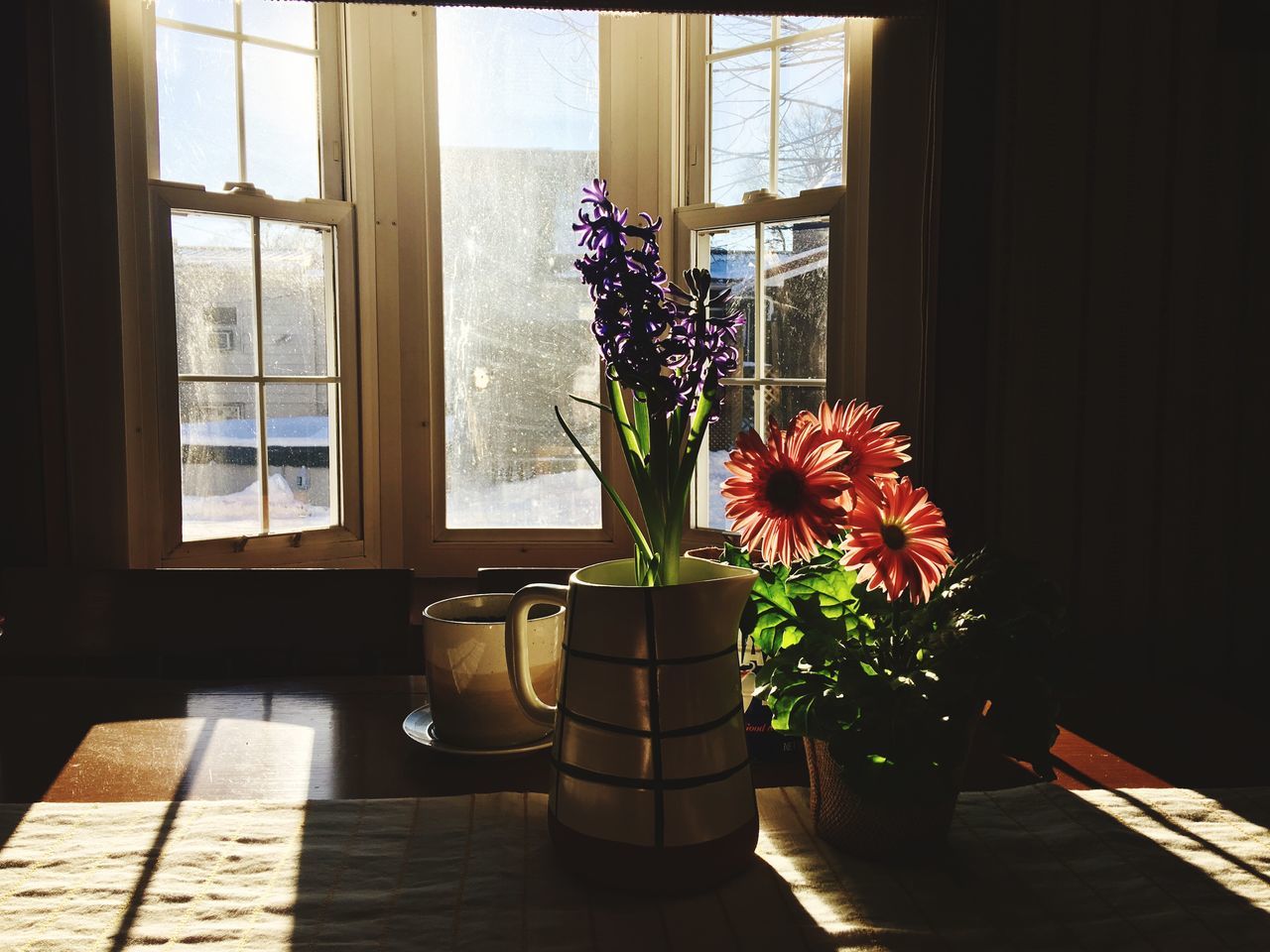 window, flower, vase, indoors, sunlight, table, shadow, home interior, day, plant, no people, growth, nature, freshness, fragility, flower head