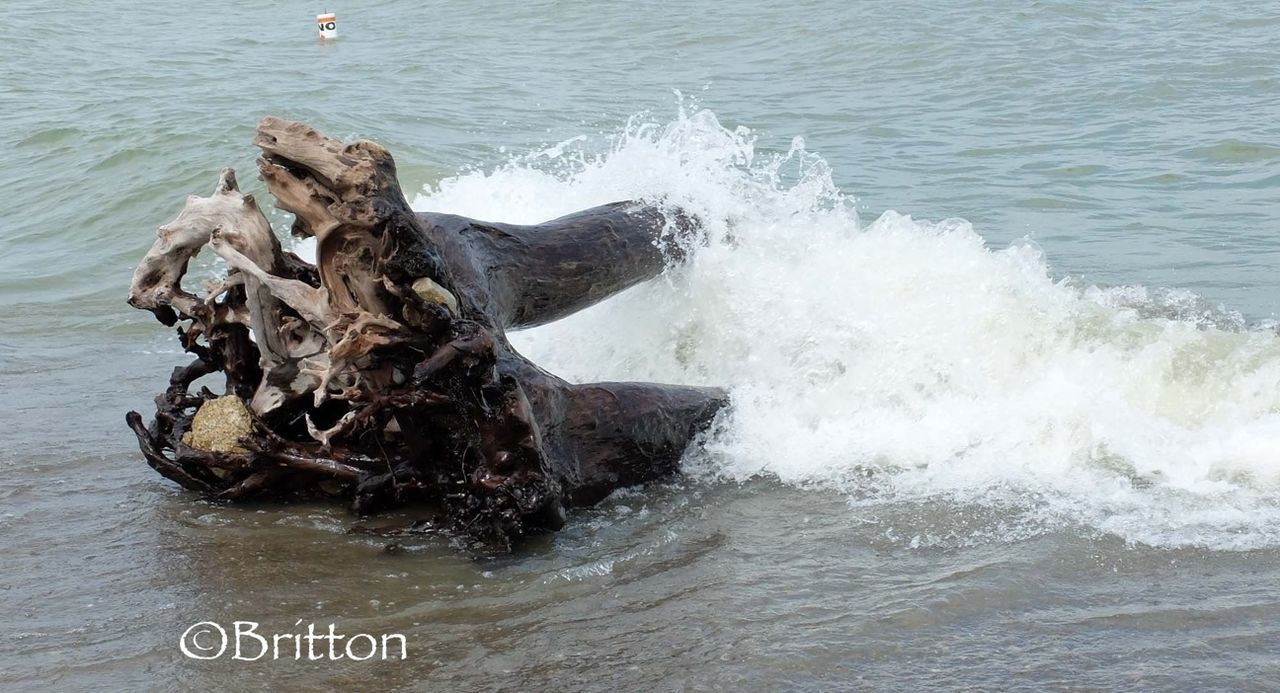 water, sea, surf, wave, motion, splashing, high angle view, nature, waterfront, rippled, day, rock - object, shore, outdoors, beauty in nature, nautical vessel, beach, no people, scenics, river