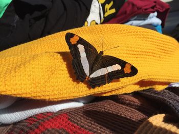 Close-up of yellow butterfly on fabric