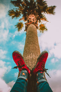 Low section of person by tree against sky