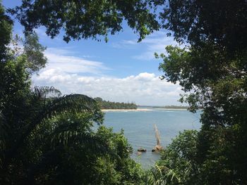 Scenic view of river and trees against sky