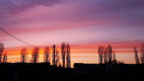 Silhouette trees against sky during sunset