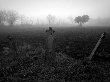 Scenic view of grassy field in foggy weather