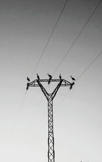 Low angle view of birds perching on electricity pylon against clear sky